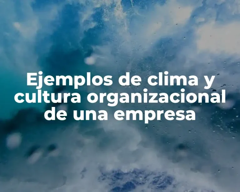 Ejemplos de clima y cultura organizacional de una empresa