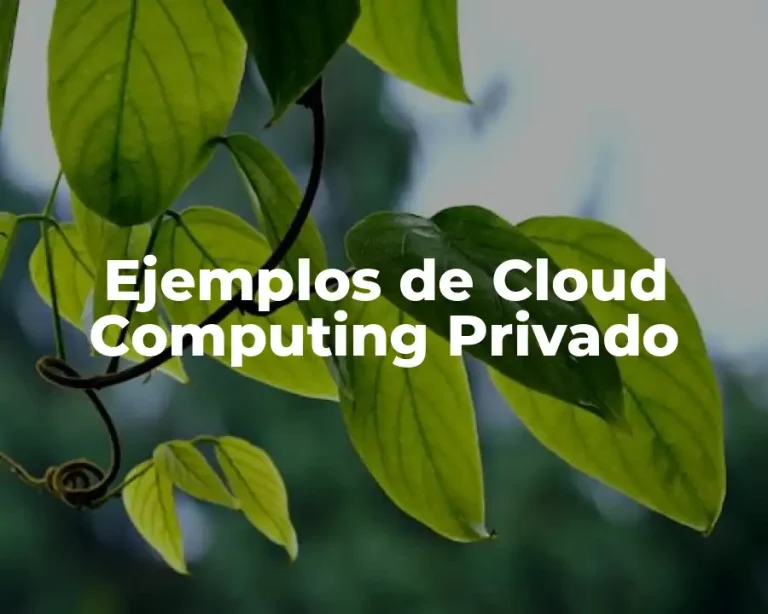 Ejemplos de Cloud Computing Privado