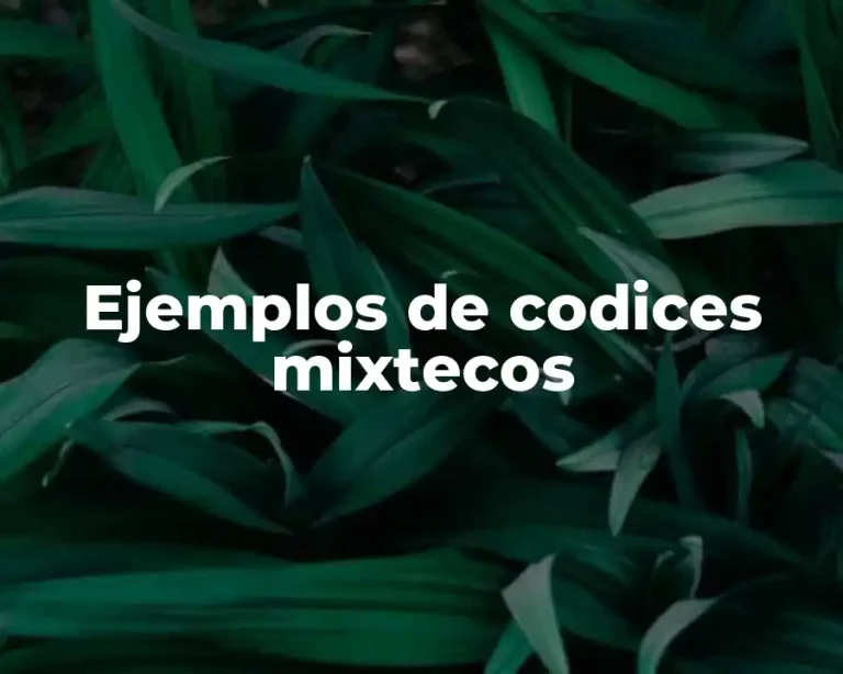 Ejemplos de codices mixtecos