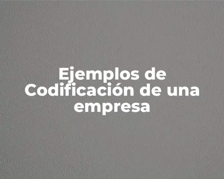 Ejemplos de Codificación de una empresa