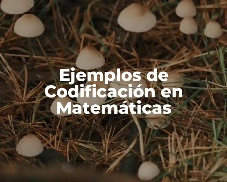 Ejemplos de Codificación en Matemáticas
