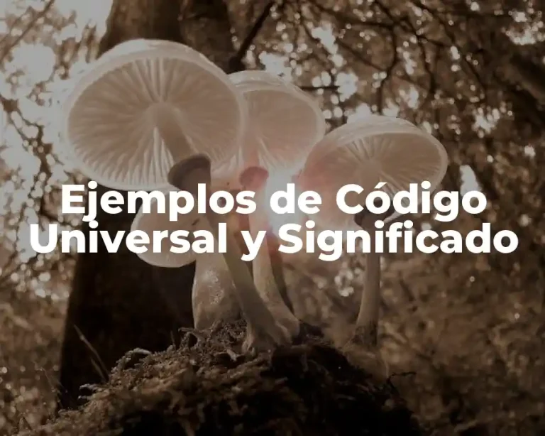 Ejemplos de Código Universal y Significado