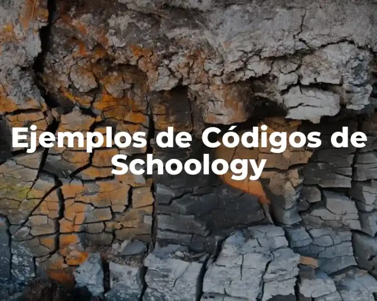Ejemplos de Códigos de Schoology