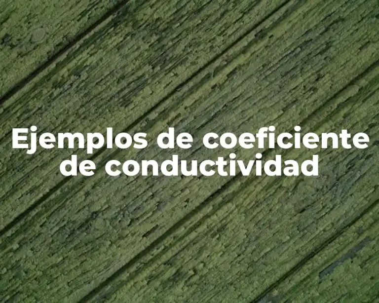 Ejemplos de coeficiente de conductividad