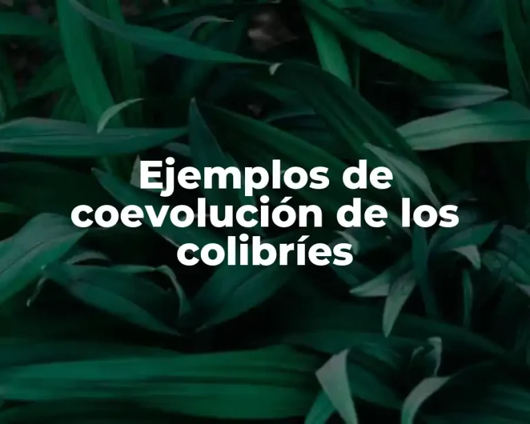 Ejemplos de coevolución de los colibríes