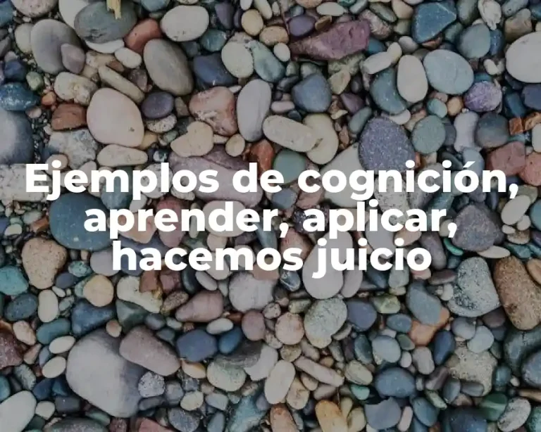 Ejemplos de cognición, aprender, aplicar, hacemos juicio