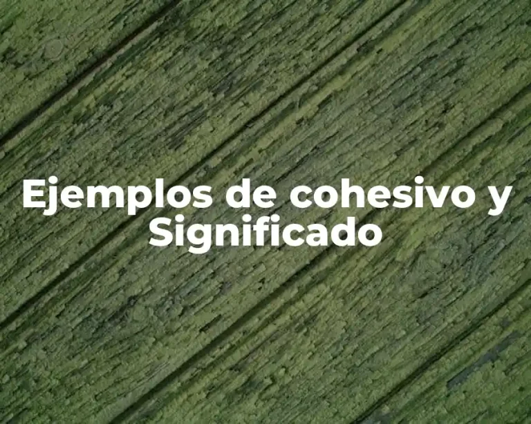 Ejemplos de cohesivo y Significado