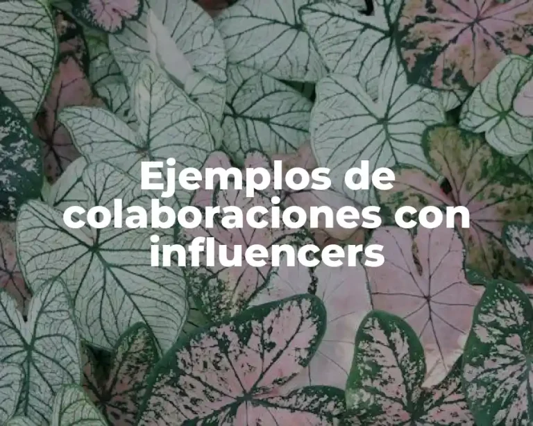 Ejemplos de colaboraciones con influencers