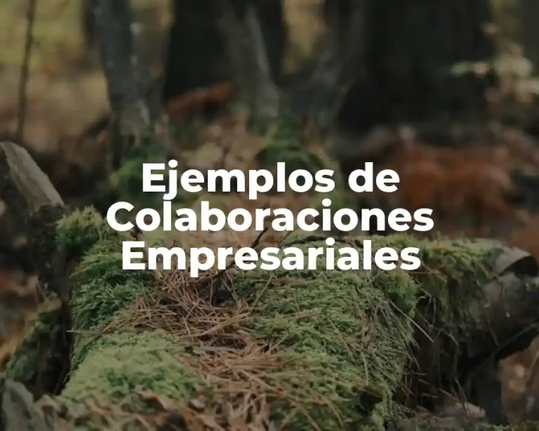 Ejemplos de Colaboraciones Empresariales