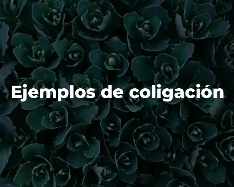 Ejemplos de coligación