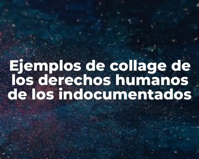 Ejemplos de collage de los derechos humanos de los indocumentados