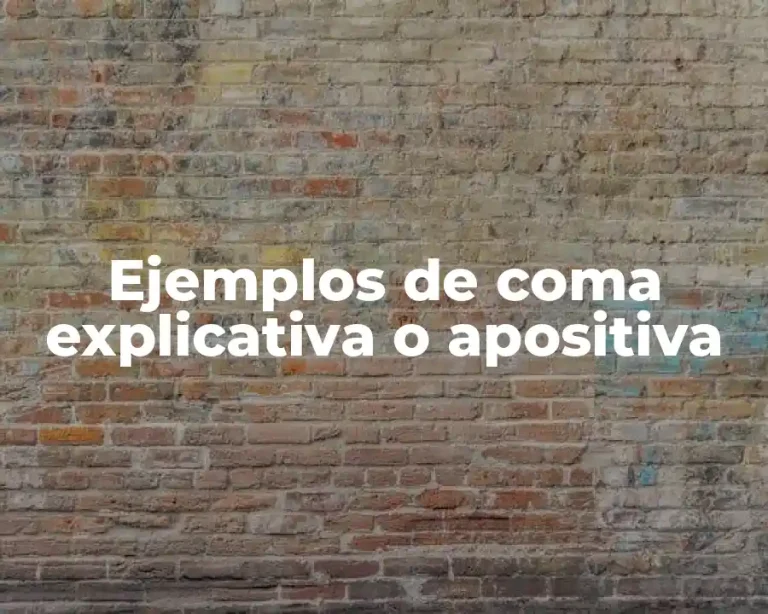 Ejemplos de coma explicativa o apositiva