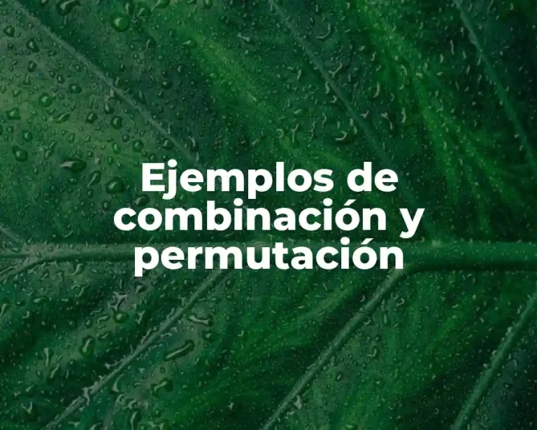 Ejemplos de combinación y permutación