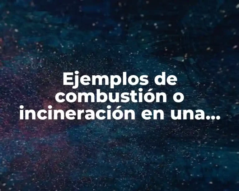 Ejemplos de combustión o incineración en una empresa y Significado