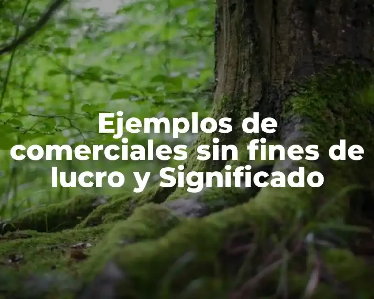 Ejemplos de comerciales sin fines de lucro y Significado