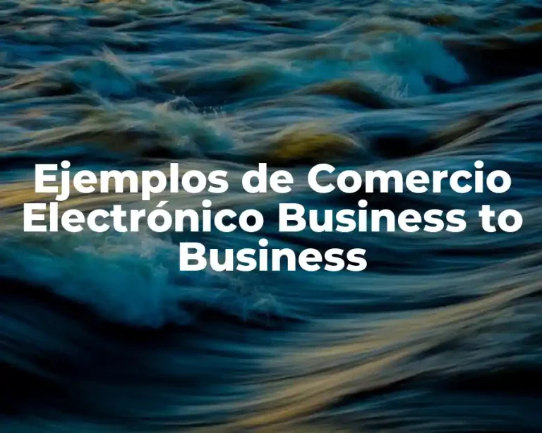 Ejemplos de Comercio Electrónico Business to Business