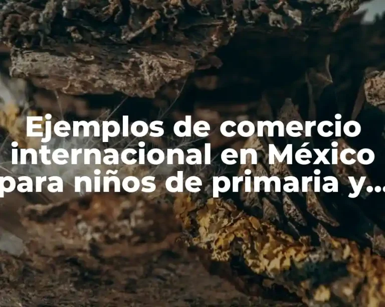 Ejemplos de comercio internacional en México para niños de primaria y Significado