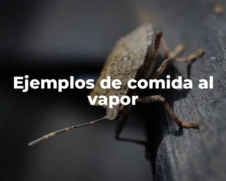 Ejemplos de comida al vapor