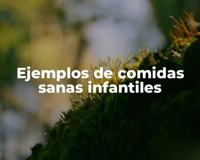Ejemplos de comidas sanas infantiles