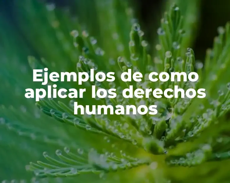 Ejemplos de como aplicar los derechos humanos