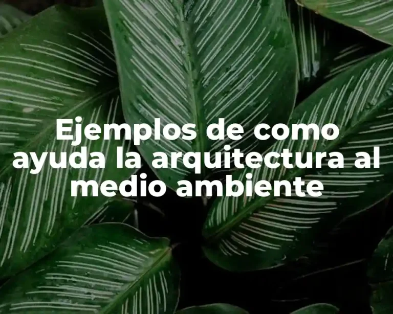 Ejemplos de como ayuda la arquitectura al medio ambiente