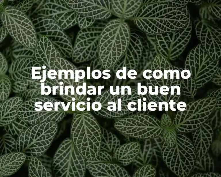 Ejemplos de como brindar un buen servicio al cliente