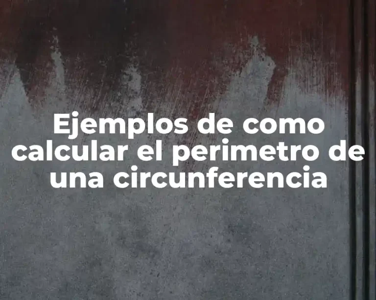 Ejemplos de como calcular el perimetro de una circunferencia