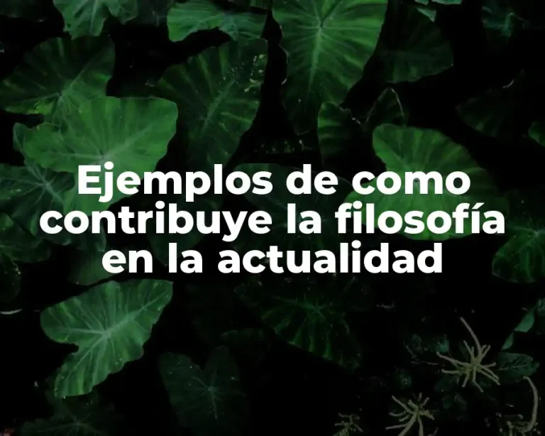 Ejemplos de como contribuye la filosofía en la actualidad