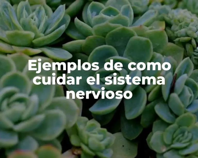 Ejemplos de como cuidar el sistema nervioso