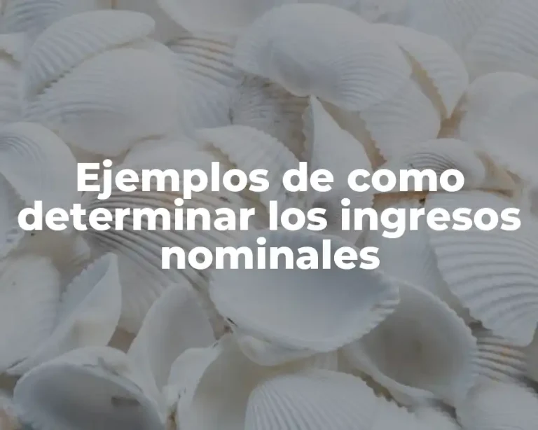 Ejemplos de como determinar los ingresos nominales