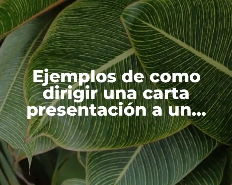 Ejemplos de como dirigir una carta presentación a un doctor