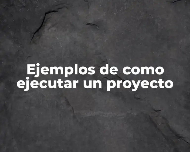 Ejemplos de como ejecutar un proyecto