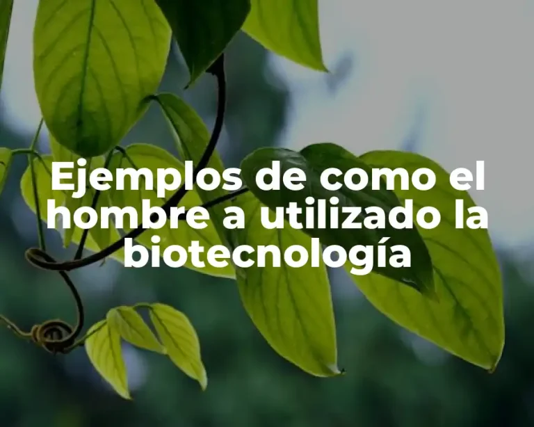 Ejemplos de como el hombre a utilizado la biotecnología