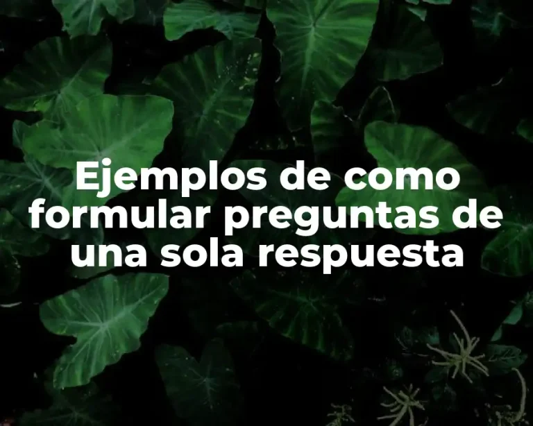 Ejemplos de como formular preguntas de una sola respuesta