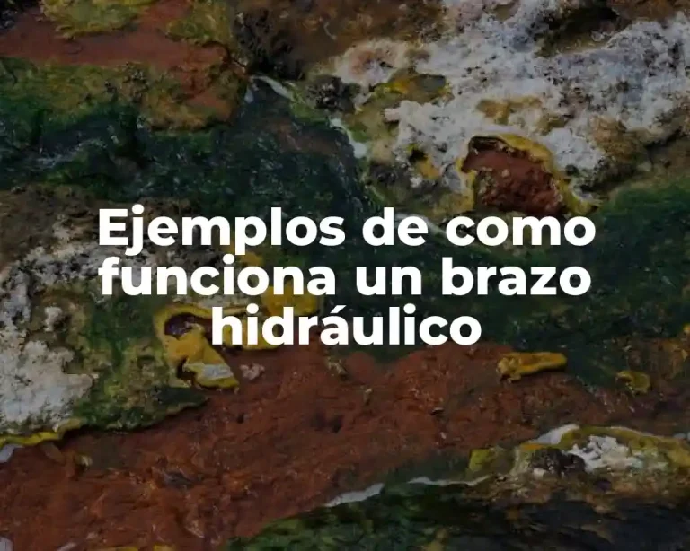 Ejemplos de como funciona un brazo hidráulico