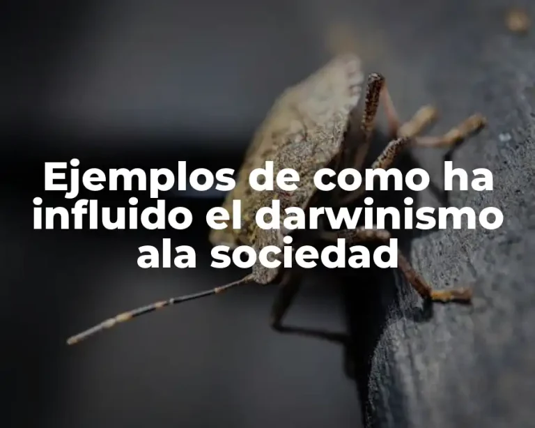 Ejemplos de como ha influido el darwinismo ala sociedad