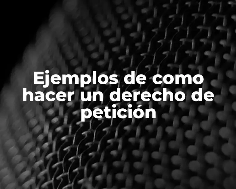 Ejemplos de como hacer un derecho de petición