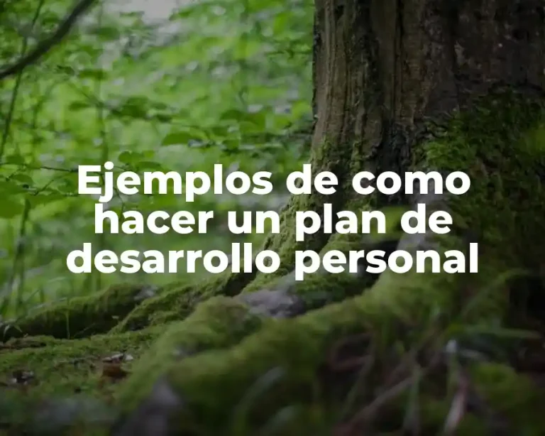 Ejemplos de como hacer un plan de desarrollo personal