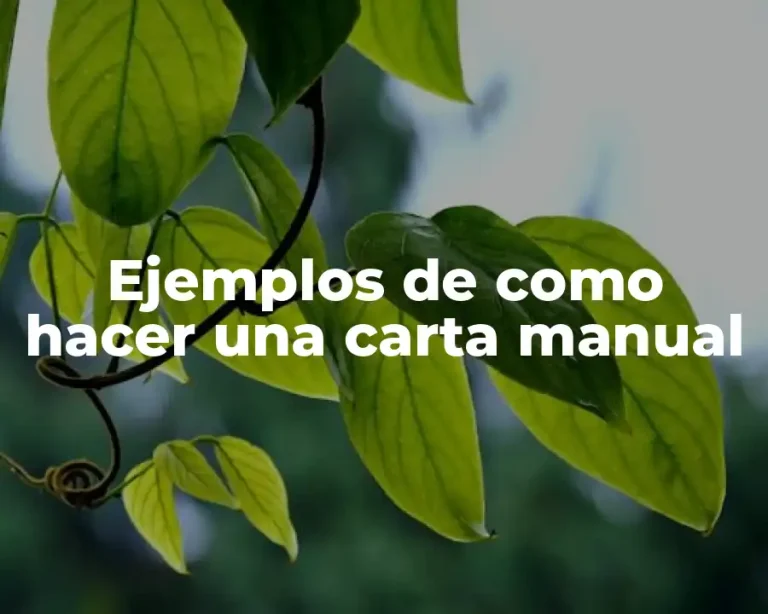 Ejemplos de como hacer una carta manual
