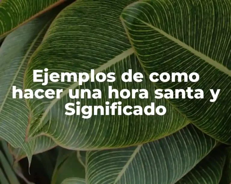 Ejemplos de como hacer una hora santa y Significado