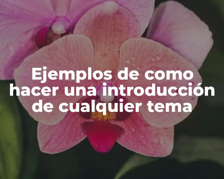 Ejemplos de como hacer una introducción de cualquier tema