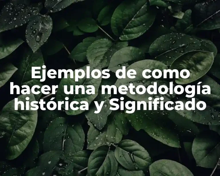 Ejemplos de como hacer una metodología histórica y Significado