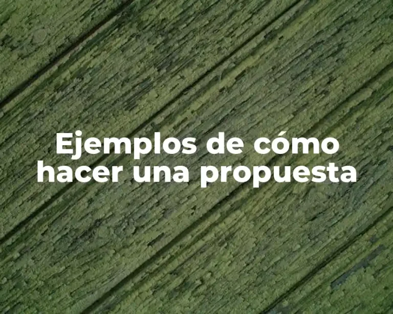 Ejemplos de cómo hacer una propuesta
