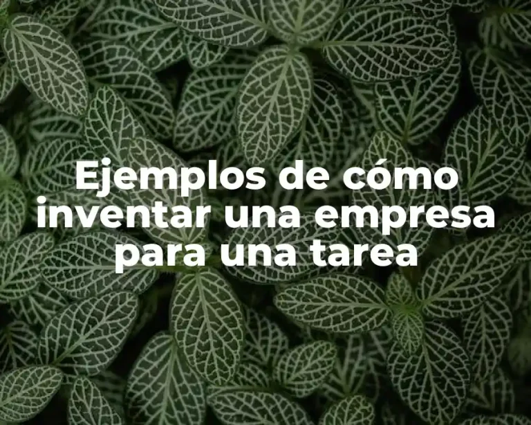 Ejemplos de cómo inventar una empresa para una tarea