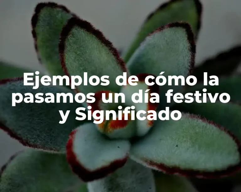 Ejemplos de cómo la pasamos un día festivo y Significado