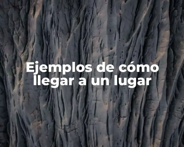 Ejemplos de cómo llegar a un lugar