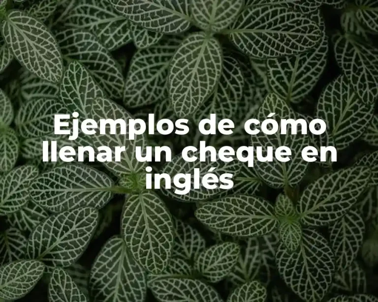 Ejemplos de cómo llenar un cheque en inglés