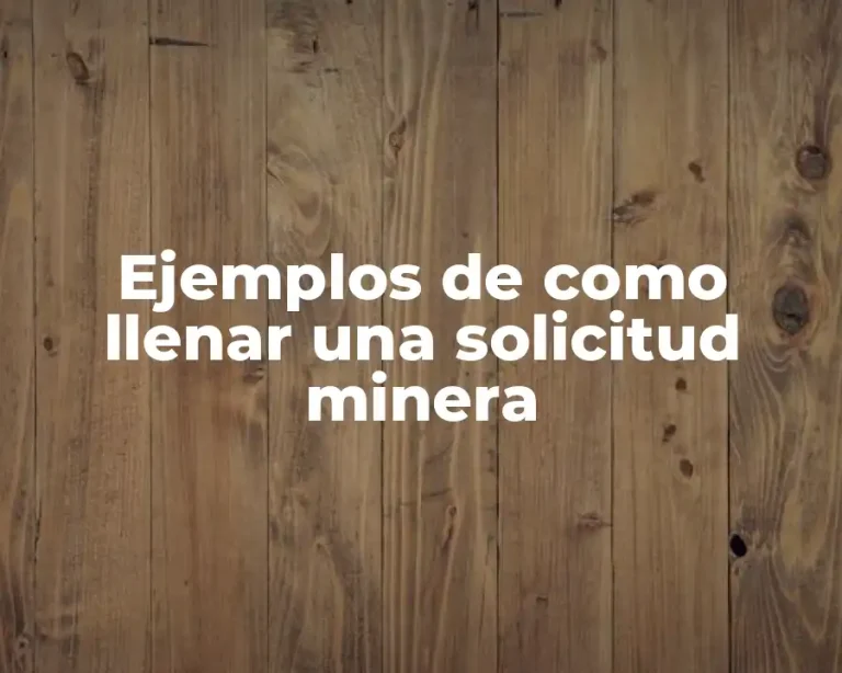 Ejemplos de como llenar una solicitud minera