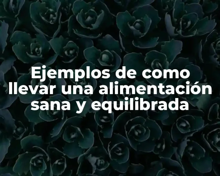 Ejemplos de como llevar una alimentación sana y equilibrada