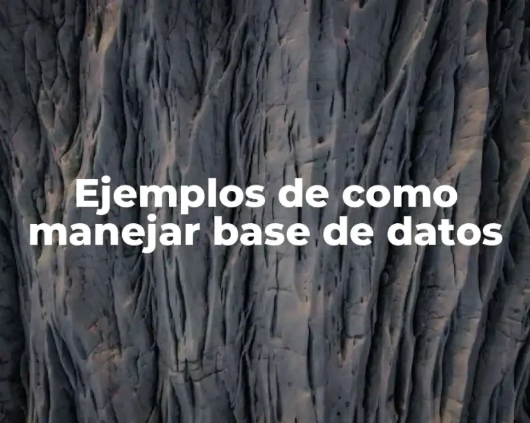Ejemplos de como manejar base de datos